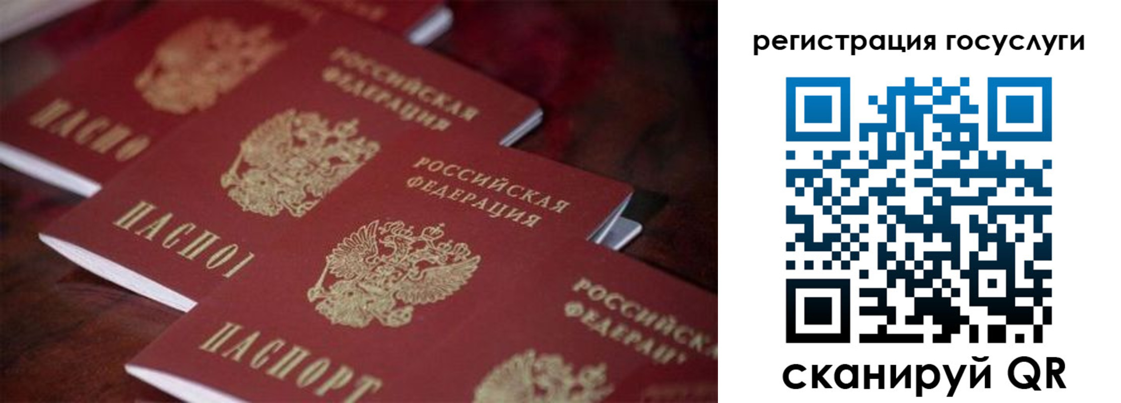 где прописаться в Елизово
